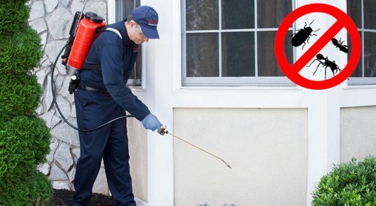 Çankaya Hamam Böceği İlaçlama böcek ilaçlama ve haşere kontrolü — ilaclama-tr.com